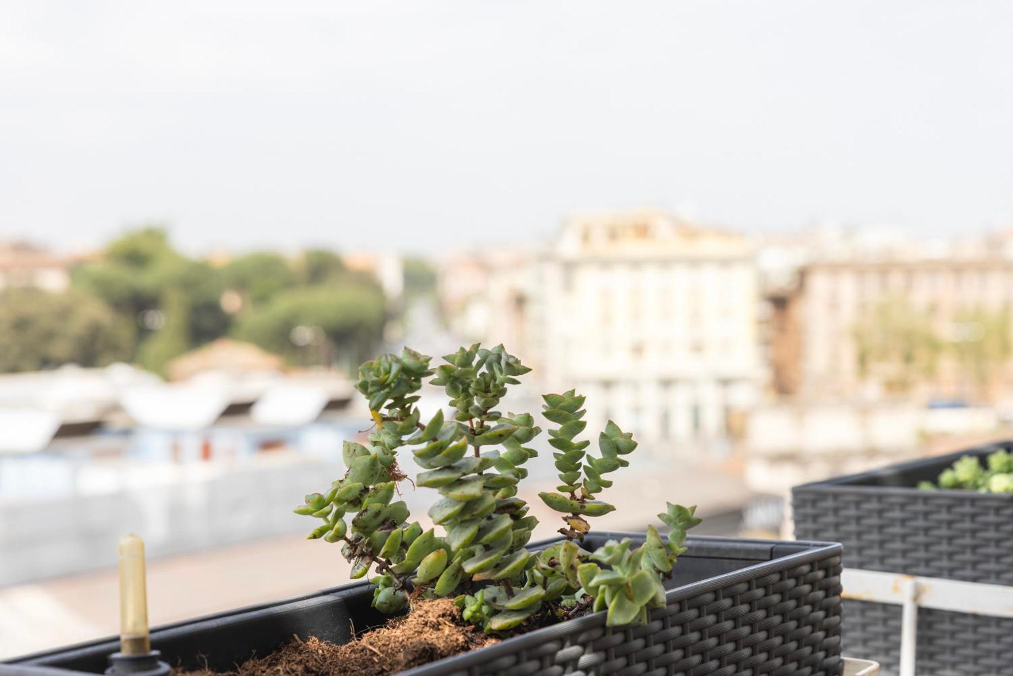Vivilo Collection - Magna Grecia 29 View Apartment